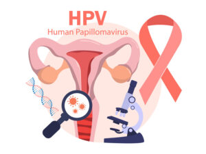 Graphic about HPV to illustrate the cervical health and HPV connection