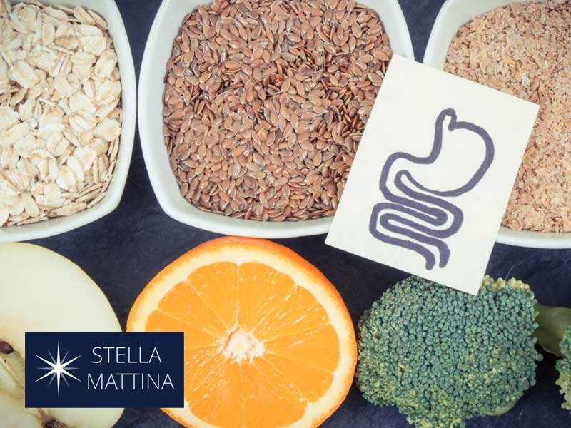 various foods to support gut health and weight loss