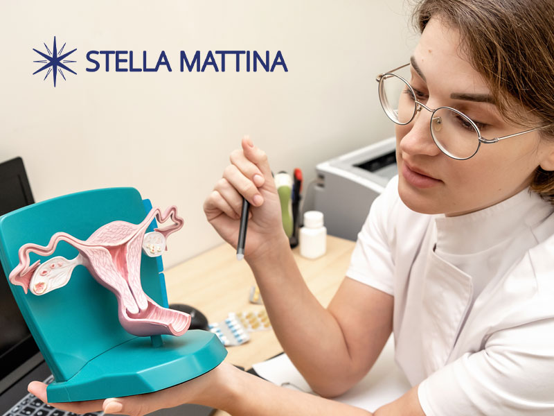 Gynecologist holding a model of the female reproductive system to illustrate a discussion on irregular periods and pregnancy